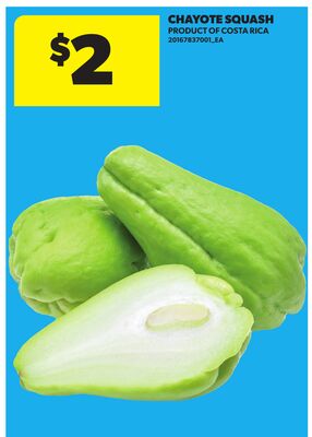 CHAYOTE SQUASH