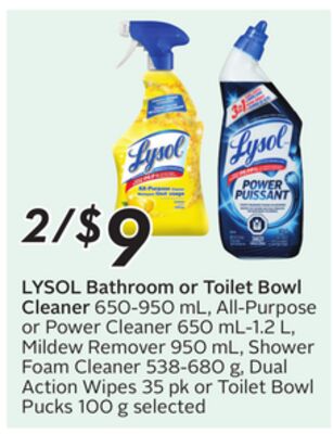 Bathroom or Toilet Bowl Cleaner