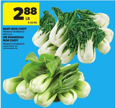 BABY BOK CHOY OR SHANGHAI BOK CHOY