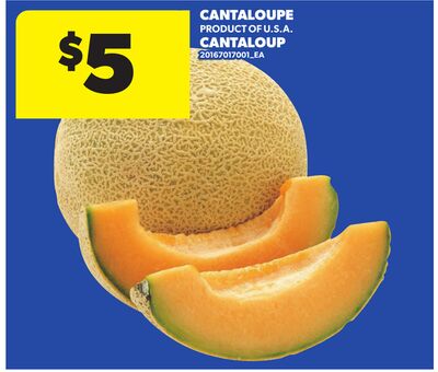 CANTALOUPE