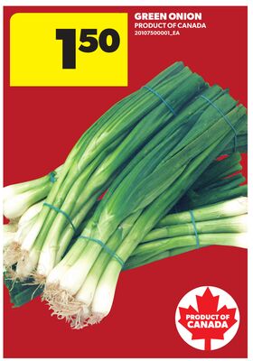 GREEN ONION