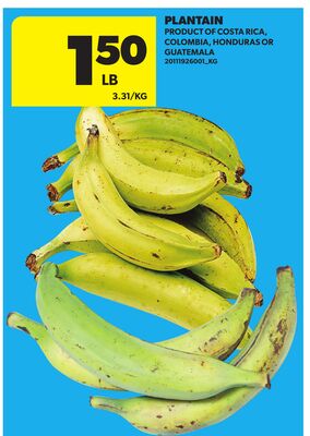 PLANTAIN