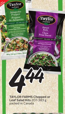 Chopped or Leaf Salad Kits