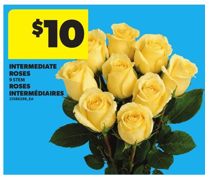 INTERMEDIATE ROSES, 9 STEM