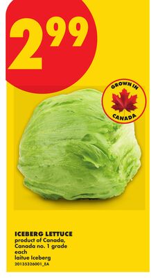 ICEBERG LETTUCE