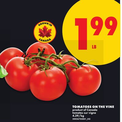 TOMATOES ON THE VINE