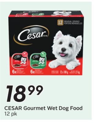 Gourmet Wet Dog Food