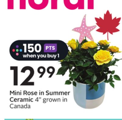 Mini Rose in Summer Ceramic