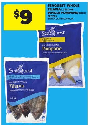 SEAQUEST WHOLE TILAPIA, 1.36 KG OR WHOLE POMPANO, 800 G
