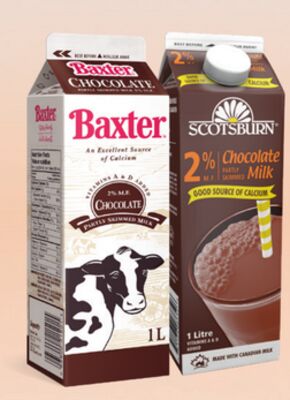 BAXTER & SCOTSBURN CHOCOLATE MILK, 1 L