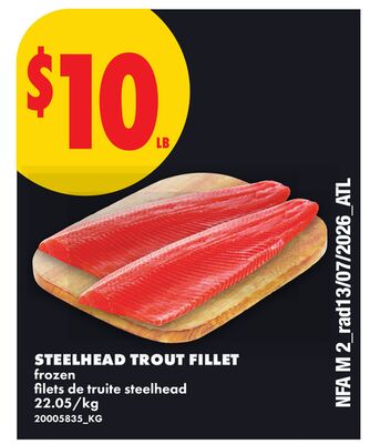 STEELHEAD TROUT FILLET