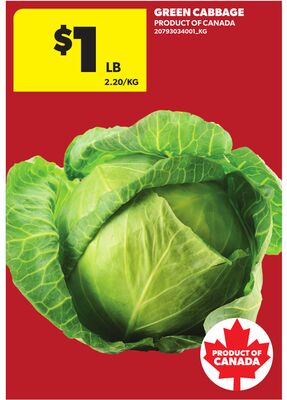 GREEN CABBAGE