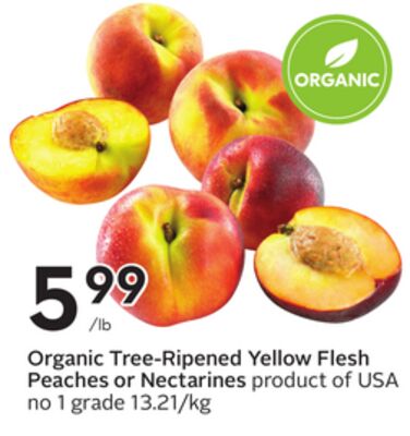 Organic Tree-Ripened Yellow Flesh Peaches or Nectarines