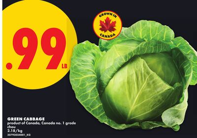 GREEN CABBAGE