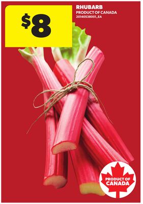 RHUBARB