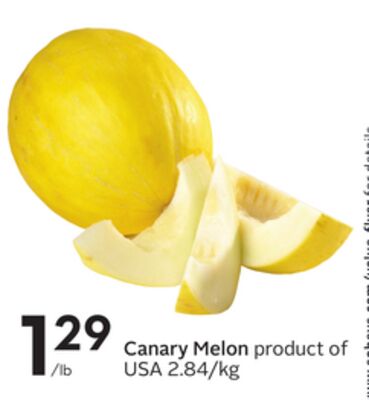 Canary Melon