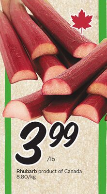 Rhubarb