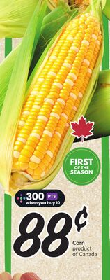 First kernel season