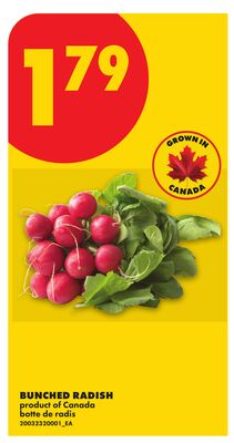 BUNCHED RADISH