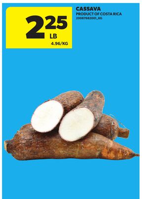 CASSAVA