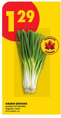 GREEN ONIONS