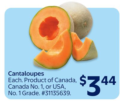 Cantaloupes