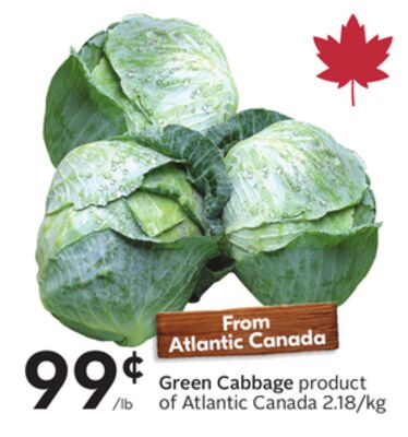 Green Cabbage
