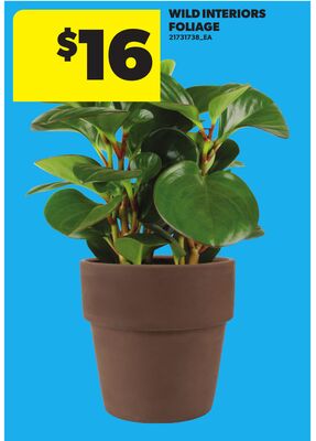 WILD INTERIORS FOLIAGE