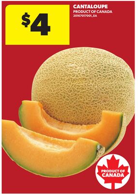 CANTALOUPE