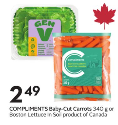 COMPLIMENTS Baby-Cut Carrots 340 g or Boston Lettuce In Soil