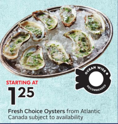 Fresh Choice Oysters from Atlantic Canada