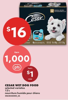 CESAR WET DOG FOOD, 12's