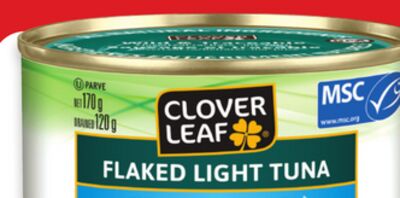 Clover Leaf tuna