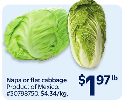 Napa or flat cabbage