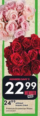 Premium Ecuadorian Roses