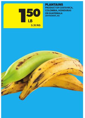 PLANTAINS