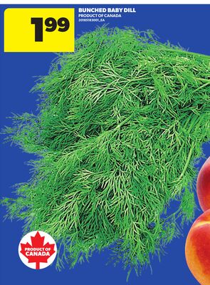 BUNCHED BABY DILL, 200G