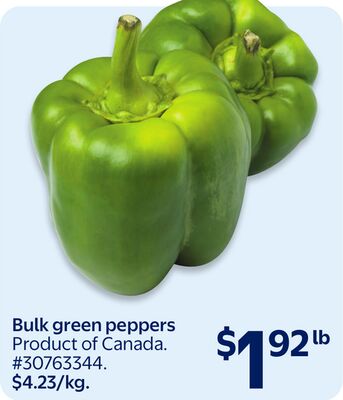 Bulk green Peppers