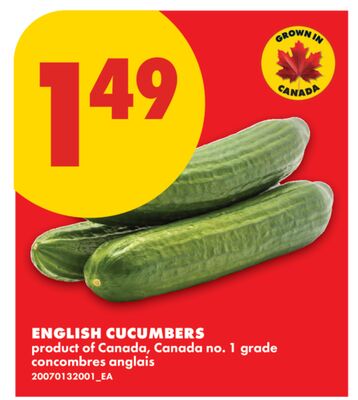 ENGLISH CUCUMBERS