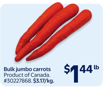 Bulk jumbo carrots