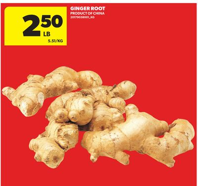 GINGER ROOT