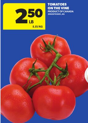 TOMATOES ON THE VINE