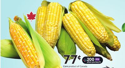 Corn