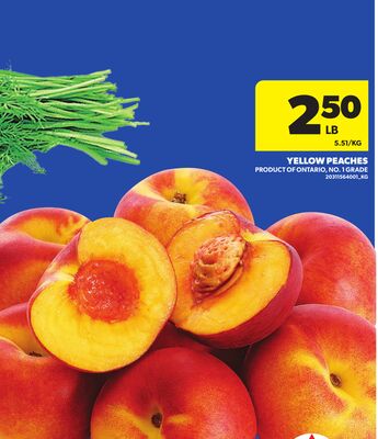 YELLOW PEACHES