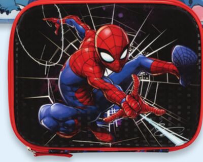 Spider-Man lunch bag