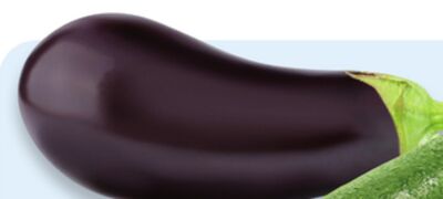 Large eggplant or green zucchini