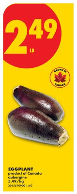EGGPLANT