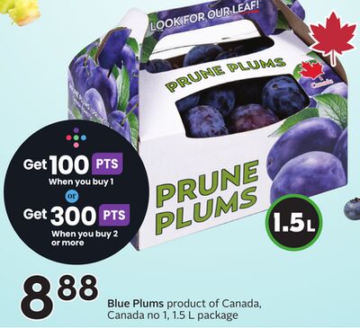 Blue Plums
