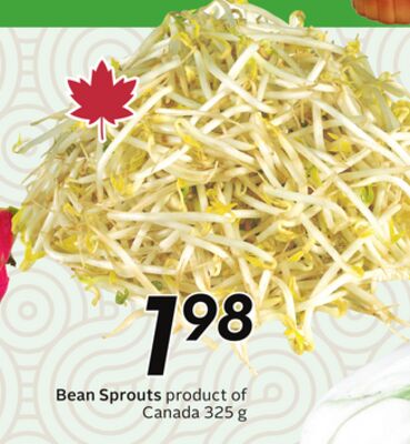 Bean Sprouts