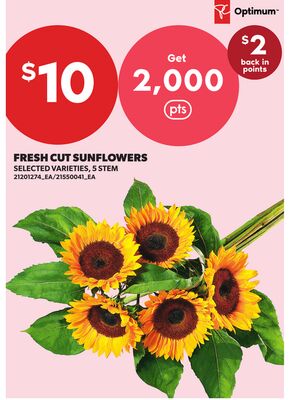FRESH CUT SUNFLOWERS, 5 STEM